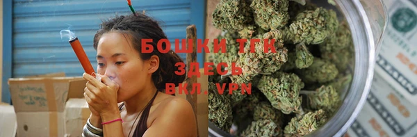 индика Уссурийск