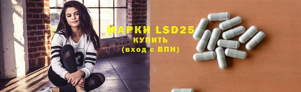 гашик Майский