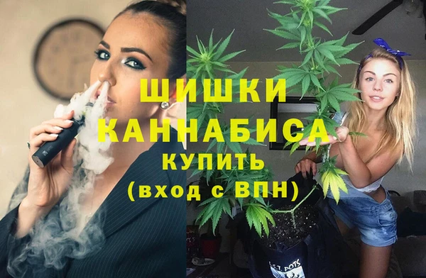 гашик Майский