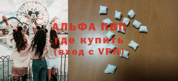 гашик Майский