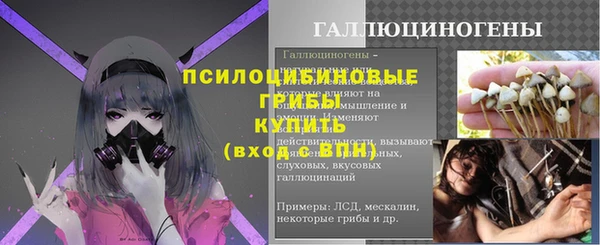 гашик Майский