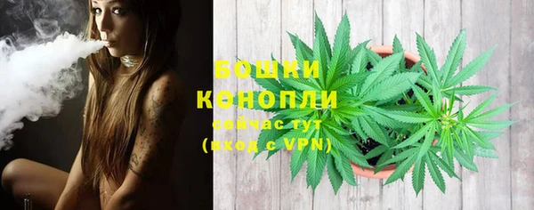 ГАЛЛЮЦИНОГЕННЫЕ ГРИБЫ Магас