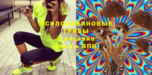 стафф Волгодонск
