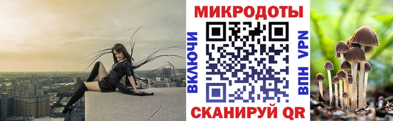 даркнет сайт  Новочебоксарск  Псилоцибиновые грибы GOLDEN TEACHER 